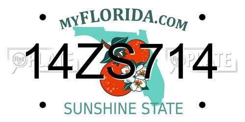14ZS714 Florida License Plate