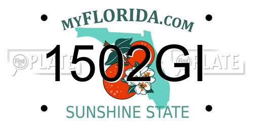 1502GI Florida License Plate