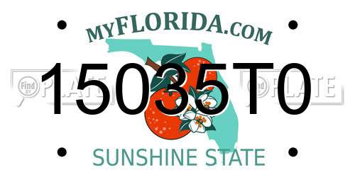 15035T0 Florida License Plate