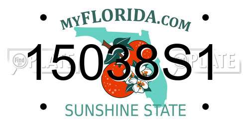 15038S1 Florida License Plate