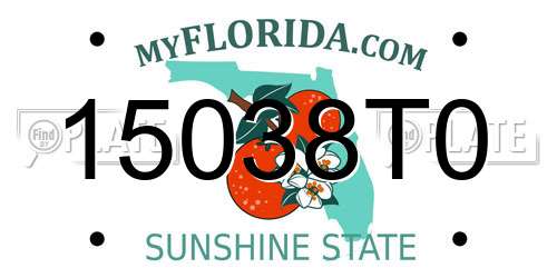 15038T0 Florida License Plate