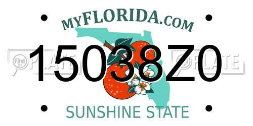 15038Z0 Florida License Plate