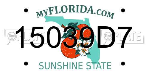 15039D7 Florida License Plate
