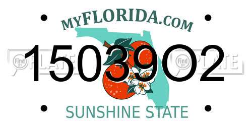 15039O2 Florida License Plate