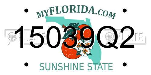 15039Q2 Florida License Plate