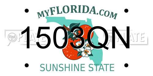1503QN Florida License Plate