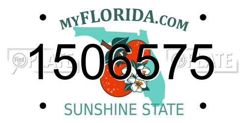 1506575 Florida License Plate
