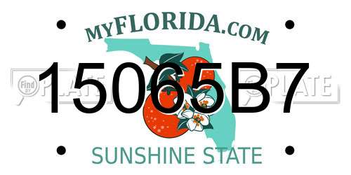 15065B7 Florida License Plate