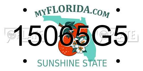 15065G5 Florida License Plate