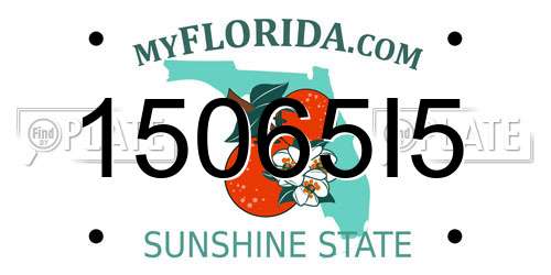 15065I5 Florida License Plate