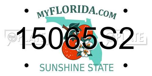 15065S2 Florida License Plate