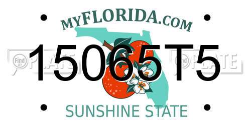 15065T5 Florida License Plate