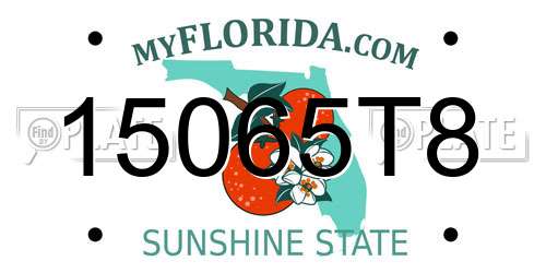 15065T8 Florida License Plate