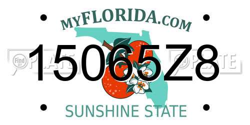15065Z8 Florida License Plate