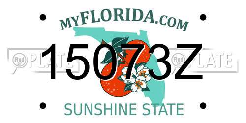 15073Z Florida License Plate