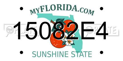 15082E4 Florida License Plate