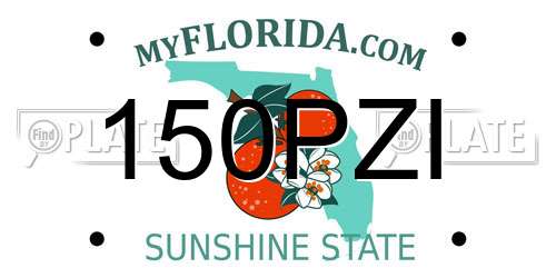 150PZI Florida License Plate