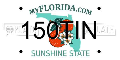 150TIN Florida License Plate