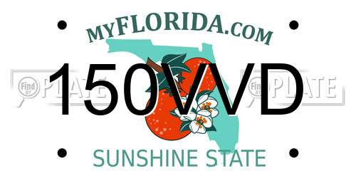 150VVD Florida License Plate