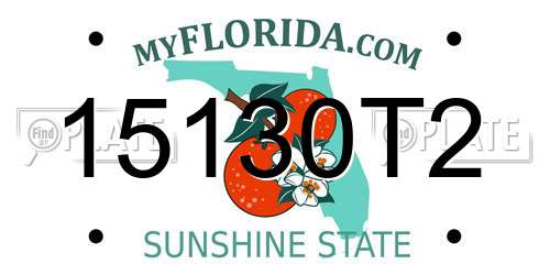 15130T2 Florida License Plate