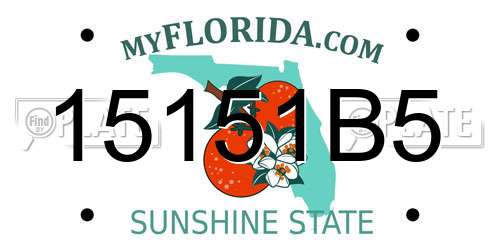 15151B5 Florida License Plate