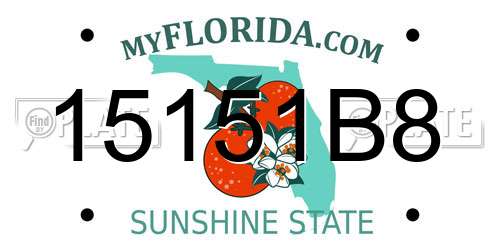 15151B8 Florida License Plate