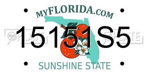 15151S5 Florida License Plate