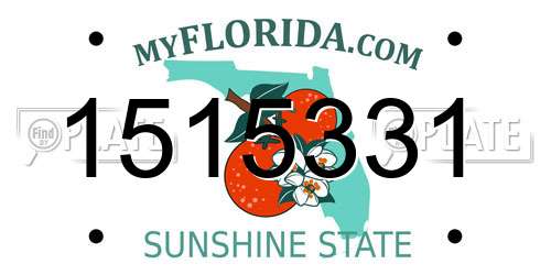 1515331 Florida License Plate