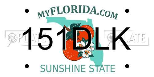 151DLK Florida License Plate