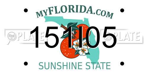 151I05 Florida License Plate