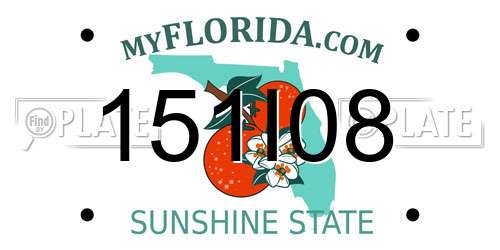 151I08 Florida License Plate