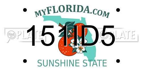 151ID5 Florida License Plate