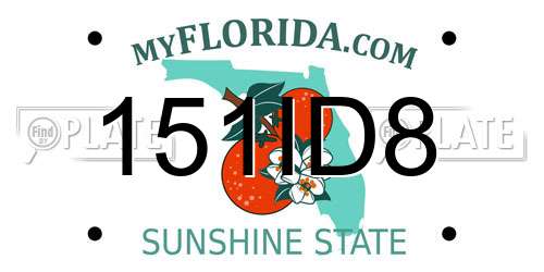 151ID8 Florida License Plate