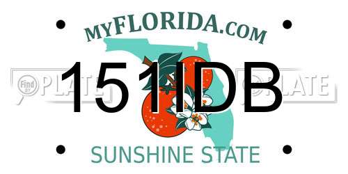 151IDB Florida License Plate