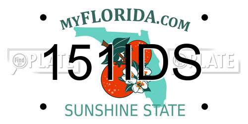 151IDS Florida License Plate