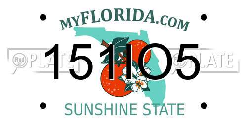 151IO5 Florida License Plate