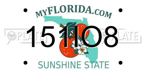 151IO8 Florida License Plate