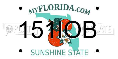 151IOB Florida License Plate