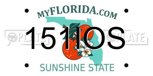 151IOS Florida License Plate