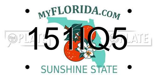 151IQ5 Florida License Plate