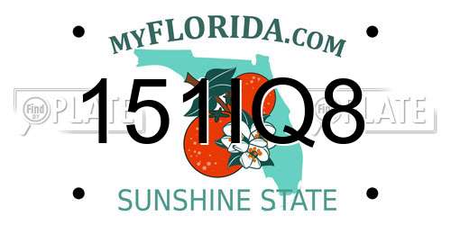 151IQ8 Florida License Plate