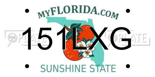 151LXG Florida License Plate