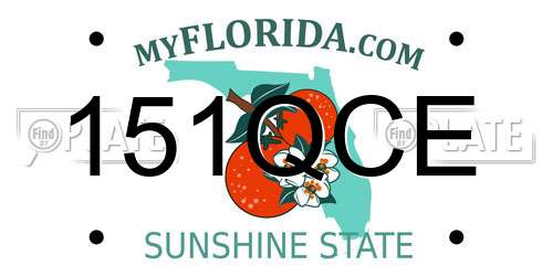 151QCE Florida License Plate