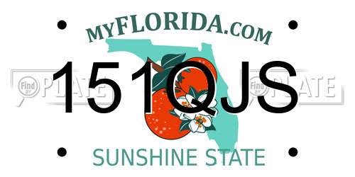 151QJS Florida License Plate