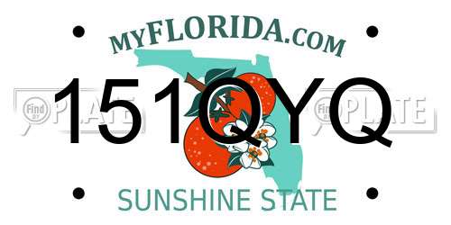 151QYQ Florida License Plate