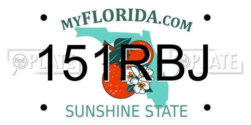 151RBJ Florida License Plate