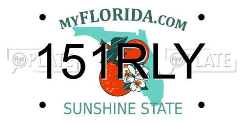 151RLY Florida License Plate