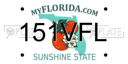 151VFL Florida License Plate
