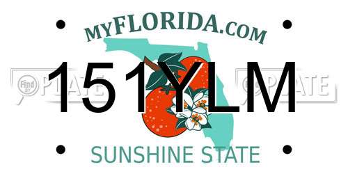 151YLM Florida License Plate
