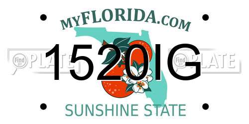1520IG Florida License Plate